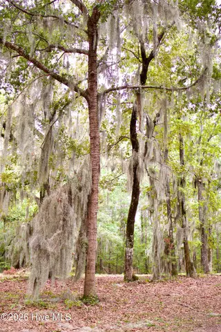 385 Sand Ridge Road, New Bern, NC 28560 – photo 14: IMG_4500