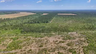 0 6 Guinea Mill Road, Ernul, NC 28527 – photo 14: 14