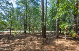 245 Pine Vista Drive, Pinehurst, NC 28374 – photo 5: InteriorFacingRoad1-2