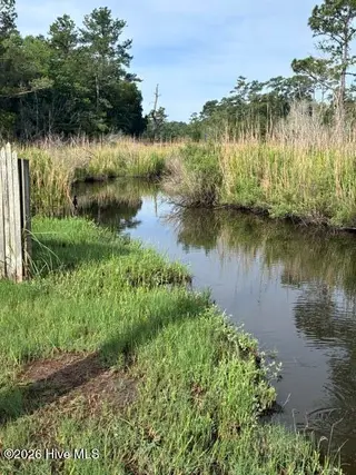 278 Woodstock Road, Belhaven, NC 27810 – photo 8: Closeup creek access from yard
