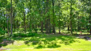 Lot 70 70 Winfield Lane, Belhaven, NC 27810 – photo 8: IMG_6650