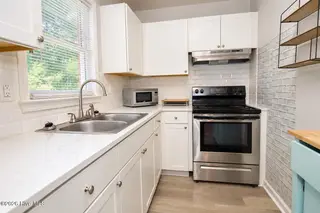 230 Melissa Drive, Rocky Mount, NC 27801 – photo 6: Melissa 6
