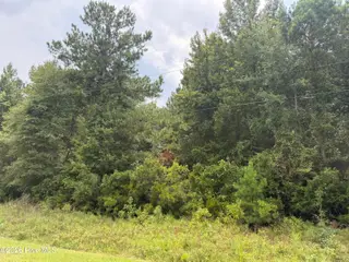 0 Old Sandhill Road, Edward, NC 27821 – photo 17: IMG_1793 2