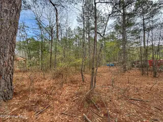 221 Riverview Drive, Vass, NC 28394 – photo 21: IMG_1267