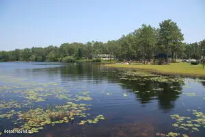 900 Cardinal Road, Southport, NC 28461 — 3-bedroom home in Boiling Spring Lakes, Southport, NC, photo 15 of 29