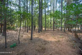 245 Pine Vista Drive, Pinehurst, NC 28374 – photo 7: InteriorFacingRoad2