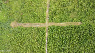 795 Pollard Swamp Road, Vanceboro, NC 28586 – photo 4: 4-print-DJI_0284