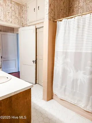 103 S Pender Street, Fremont, NC 27830 – photo 15: Master Bathroom