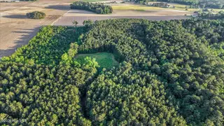 0 Pendergrass Drive, Princeton, NC 27569 – photo 3: 03-Quarterhorse Rd-3