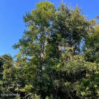 221 Prichard Avenue, Havelock, NC 28532 – photo 10: IMG_4414