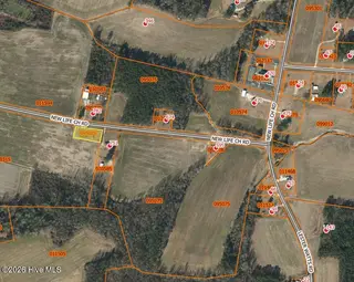 782 New Life Church Road, Tabor City, NC 28463 – photo 6: Parcels