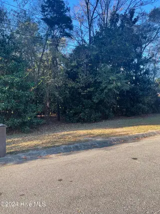 408 Lot 4, La Grange, NC 28551 – photo 8: Road Frontage