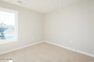 113 Chester Place, Pikeville, NC 27863 – photo 20: Harper-17