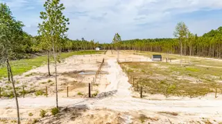 Havelock – photo 4: aerial