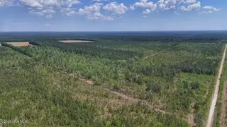 0 7 Guinea Mill Road, Ernul, NC 28527 – photo 16: 16