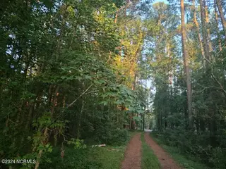 33 33 Mixon Creek Drive, Bath, NC 27808 – photo 6: IMG_3791