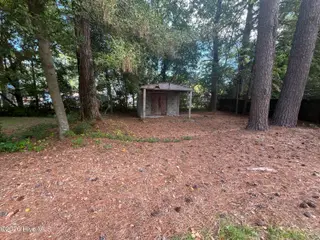 1008 Long Avenue, Rocky Mount, NC 27801 — 2-bedroom home, Rocky Mount, NC, photo 13 of 13: Back Yard