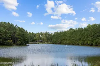 Lot 19 19 Bailey Pointe Drive, Belhaven, NC 27810 – photo 17: Lot 19 Bailey Pt. Dr. Belhaven NC 27810