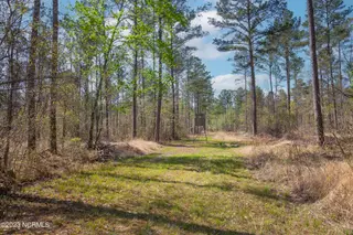 0 Nc-903, Stokes, NC 27884 – photo 10: Stokes Tract 27