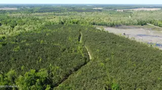 Off Speights Chapel Road, Whitakers, NC 27891 – photo 8: DJI_0577