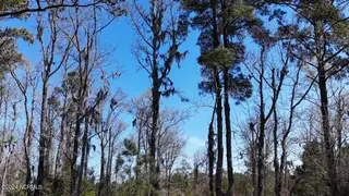107 135 Pin Oak Court, Beaufort, NC 28516 – photo 6: DJI_20240315132859_0112_D Large
