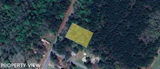 Lot 5 N Second Street, Pinetops, NC 27864 – photo 2: 01