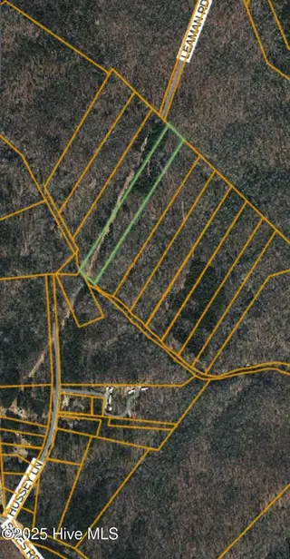 Lot 4 Leaman Road, Robbins, NC 27325 – photo 6: leaman 4