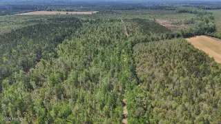 0 7 Guinea Mill Road, Ernul, NC 28527 – photo 10: 10