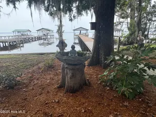 802 Canal Cove Road, Lake Waccamaw, NC 28450 – photo 23: Back Yard