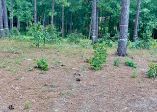 103 402 Haddington Drive, Pinehurst, NC 28374 – photo 12: IMG_5384