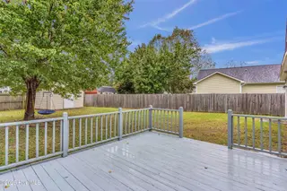 319 Palamino Trail, Jacksonville, NC 28546 – photo 22: Backyard