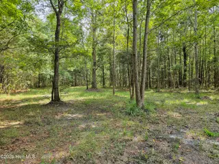 Lot 77 77 Mcgowan Road, Bath, NC 27808 – photo 7: 20250908_152621b