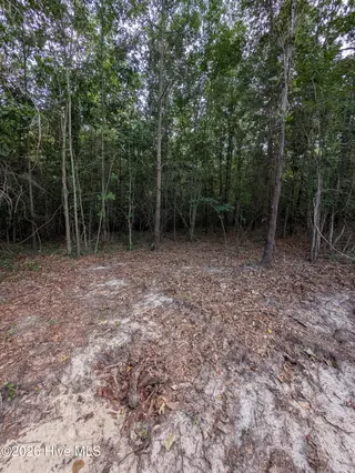 2r-4 2R-4 Peyton Drive, Eagle Springs, NC 27242 – photo 6: PXL_20260707_210511495