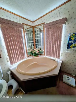 3120 Mobleys Bridge Road, Grimesland, NC 27837 – photo 12: Soaking Tub Mobleys Bridge