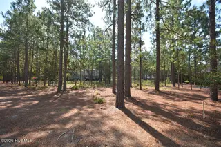 45 Abbottsford Drive, Pinehurst, NC 28374 – photo 17: 45AbbottsfordDr-13