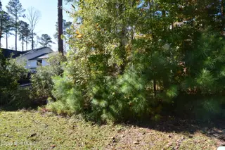 1005 16 Alabaster Drive, New Bern, NC 28562 – photo 3: 1b