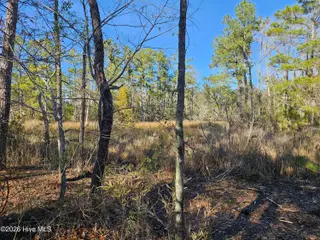 47 Sunset Point Road, Belhaven, NC 27810 – photo 8: 20251209_141535