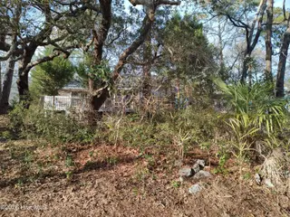 3097 River Hills Drive SW, Shallotte, NC 28470 – photo 20: Back Yard Island