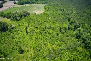 6615 Silver Spoon Road, Clarkton, NC 28433 – photo 15: MLS_Ready (7 of 40)