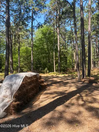 5324 Us 1 Highway, Vass, NC 28394 – photo 20: IMG_0093