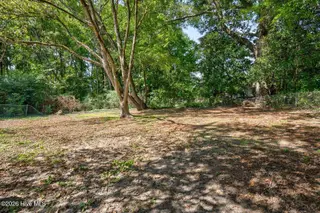 304 Gum Avenue, Spring Hope, NC 27882 – photo 21: 021-304GumAvenue-SpringHope-NC-27882-SMA