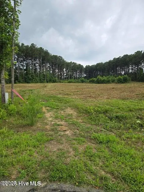 Lot 51 51 Roseheath Court, Bailey, NC 27807 – photo 1 of 1: Lot 51
