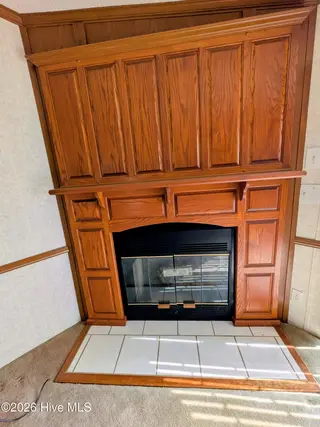 3120 Mobleys Bridge Road, Grimesland, NC 27837 – photo 7: Fireplace