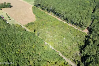 0 High Level Road, Pinetops, NC 27864 — lot, Pinetops, NC, photo 4 of 10: Back of the property