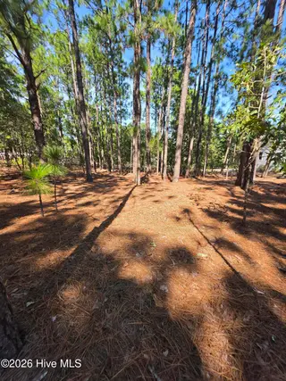 108 2283 Dartmoor Lane, West End, NC 27376 – photo 9: 20260909_151739