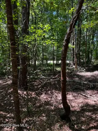 Lot 1 Dan Road, Robbins, NC 27325 – photo 12: 11