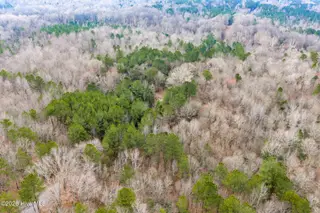 Lot 4 Leaman Road, Robbins, NC 27325 – photo 2: DJI_20260225085349_0062_D-1A