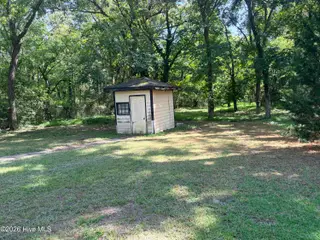 1219 E Holly Street, Rocky Mount, NC 27801 – photo 6: 1219EhollyBAckyard