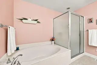 161 Starland Lane, Southern Pines, NC 28387 – photo 19: Primary & Tub Shower