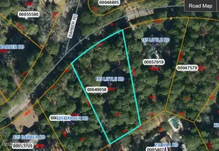 195 Little Road, Southern Pines, NC 28387 – photo 3: GIS